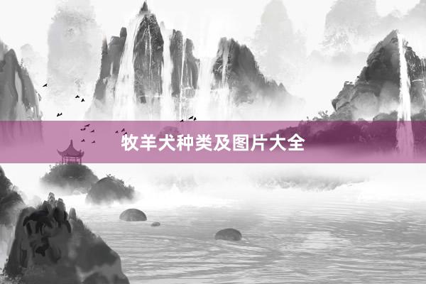 牧羊犬种类及图片大全