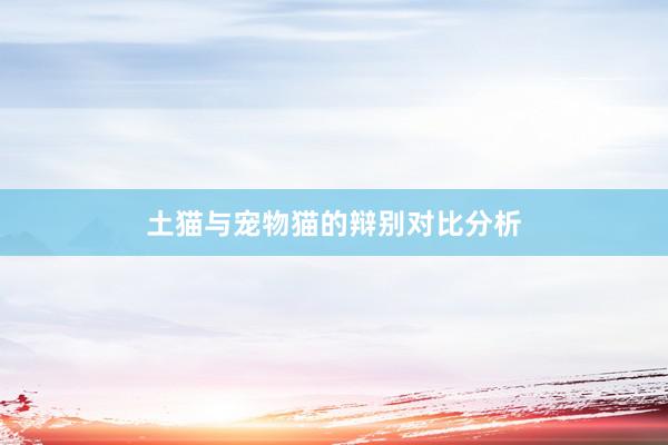 土猫与宠物猫的辩别对比分析
