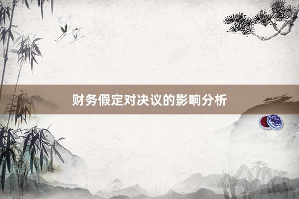 财务假定对决议的影响分析