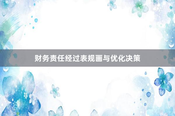 财务责任经过表规画与优化决策